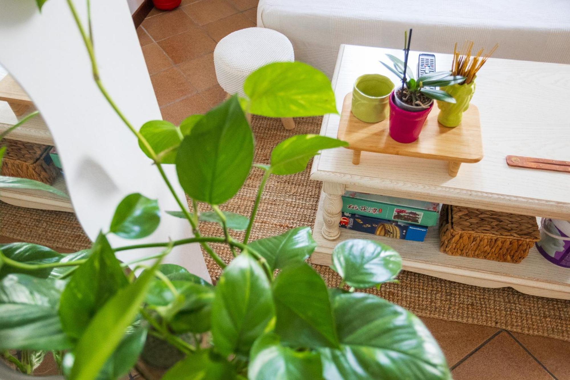 Casa vacanze Bloom And Wood - A Zen Retreat At Emily