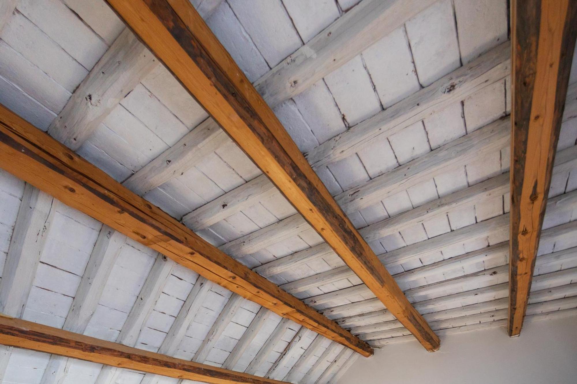 Bloom And Wood - A Zen Retreat At Emily
